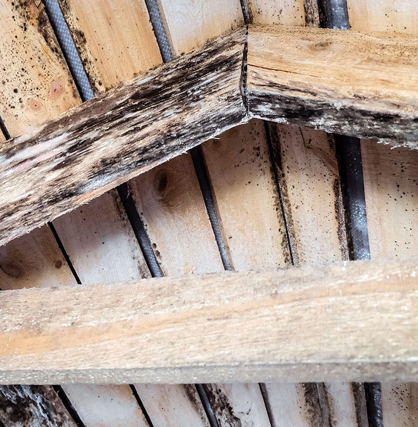 Advanced Services Solutions Remediation Rafters